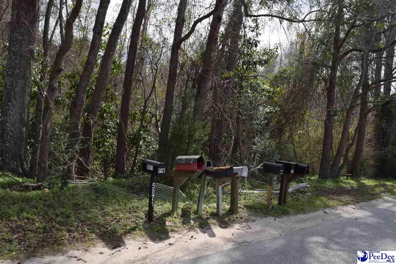 Tbd North Price Road & Chinaberry Road Florence, SC 29506 - Photo 2 of 6 Gallery Image 2