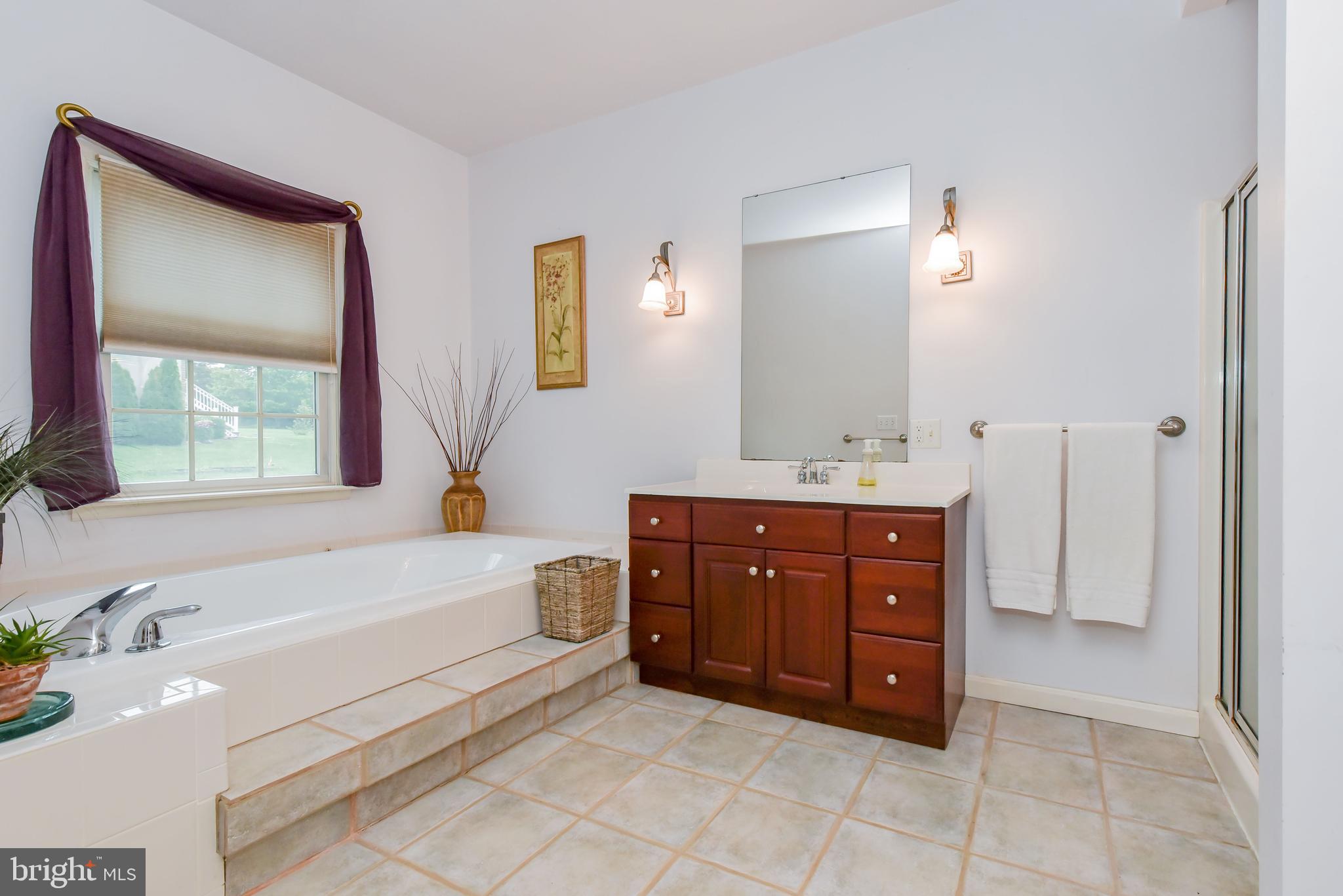 238 Love Run Road Colora, MD 21917 - Photo 14 of 31 Master Bathroom