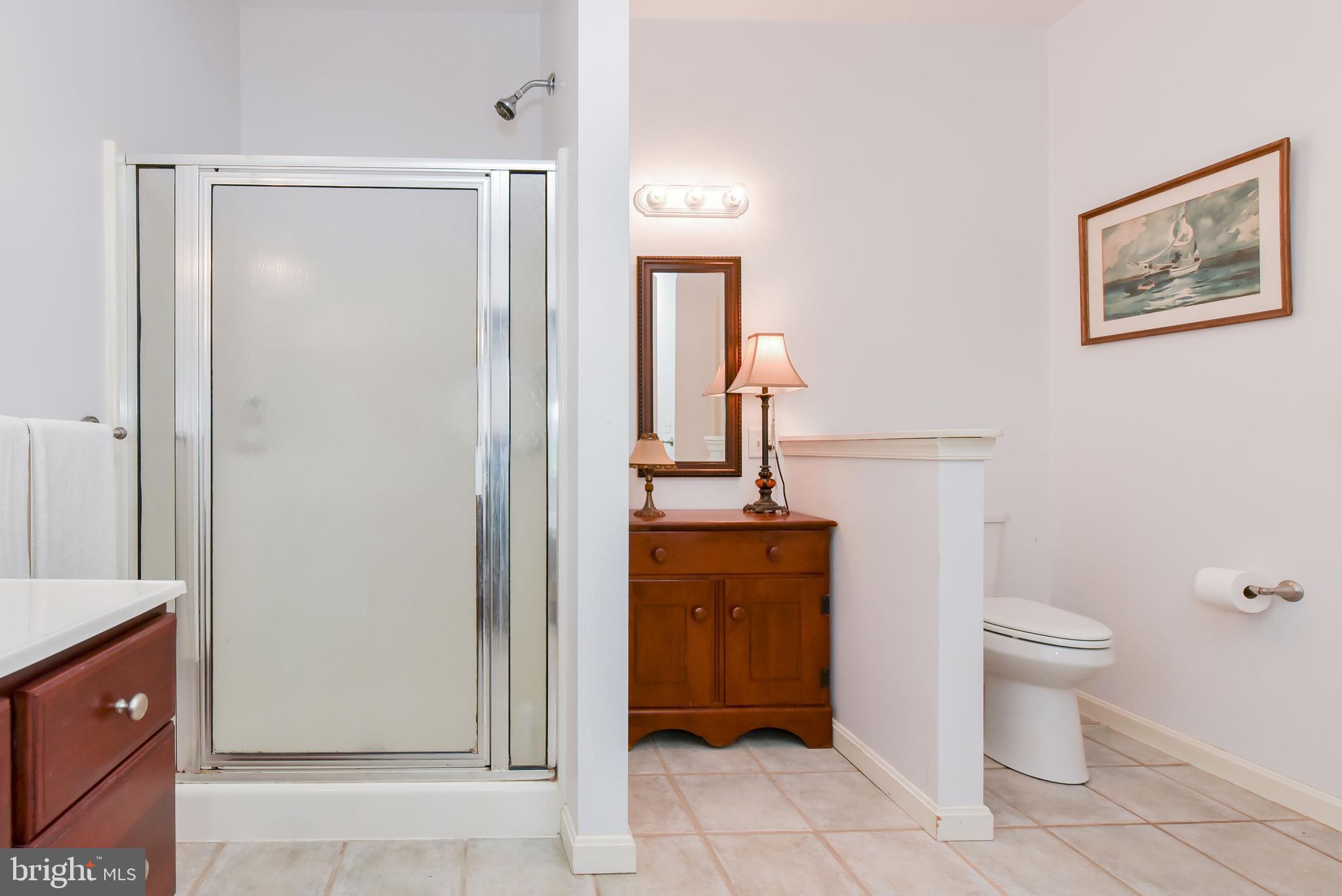 238 Love Run Road Colora, MD 21917 - Photo 15 of 31 Master Bathroom