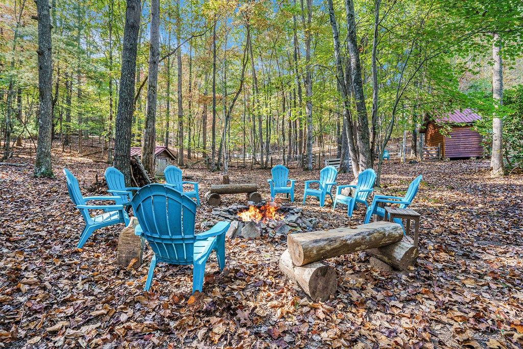 98 Bear Lane Blue Ridge, GA 30513 - Photo 2 of 31