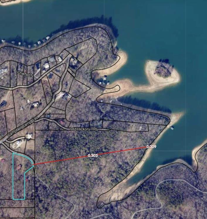 98 Bear Lane Blue Ridge, GA 30513 - Photo 3 of 31