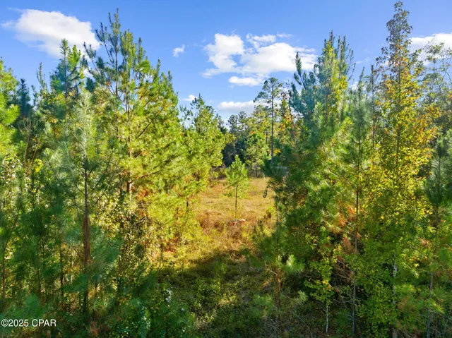 $53,750 | 135 Canning Drive, Wewahitchka, FL 32465