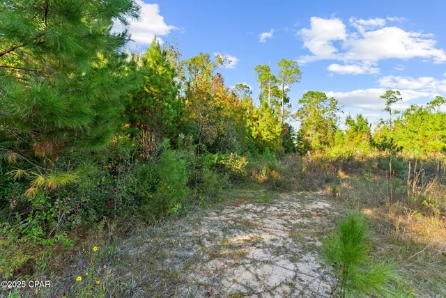 $53,750 | 135 Canning Drive, Wewahitchka, FL 32465