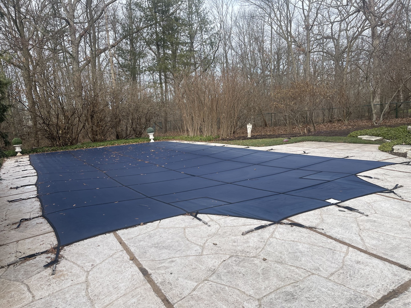 1560 South Ridge Road Lake Forest, IL 60045 - Photo 26 of 27 a view of backyard and tree