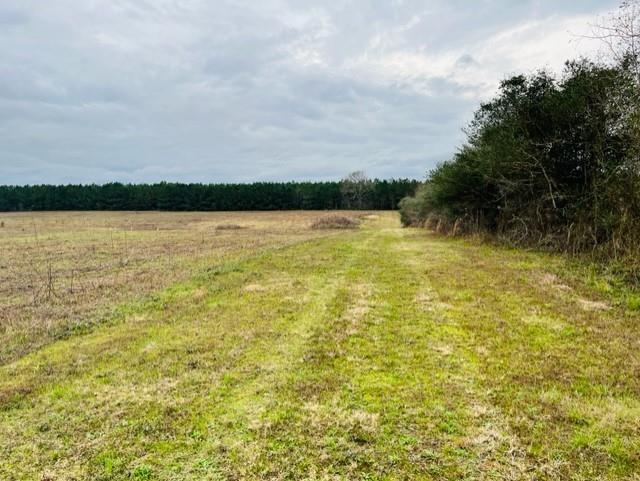 0 C W Williams Road Angie, LA 70426 - Photo 1 of 10 Gallery Image 1