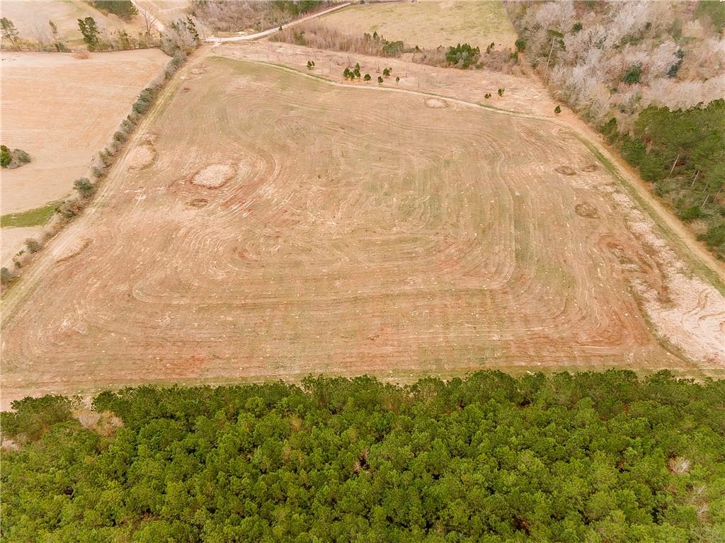 0 C W Williams Road Angie, LA 70426 - Photo 4 of 10 Gallery Image 4