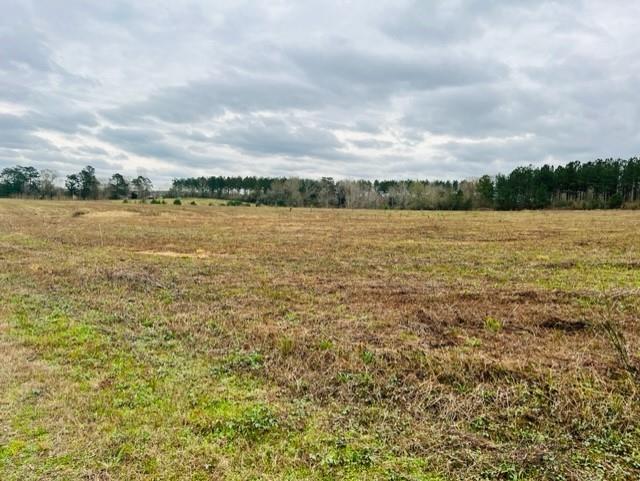 0 C W Williams Road Angie, LA 70426 - Photo 8 of 10 Gallery Image 8