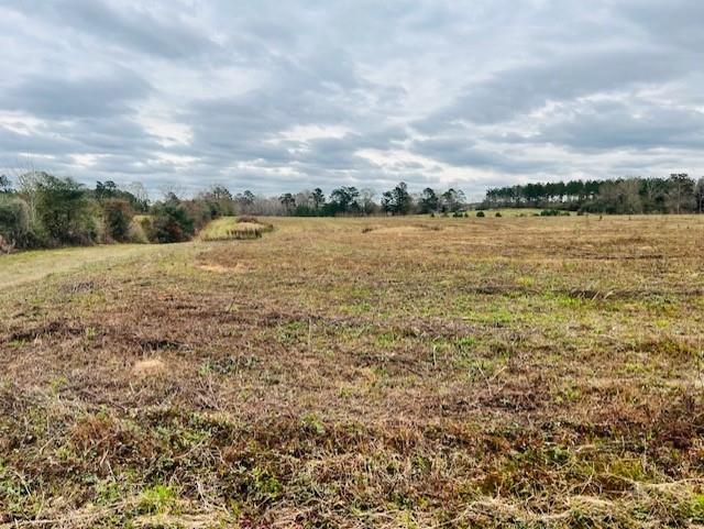 0 C W Williams Road Angie, LA 70426 - Photo 9 of 10 Gallery Image 9