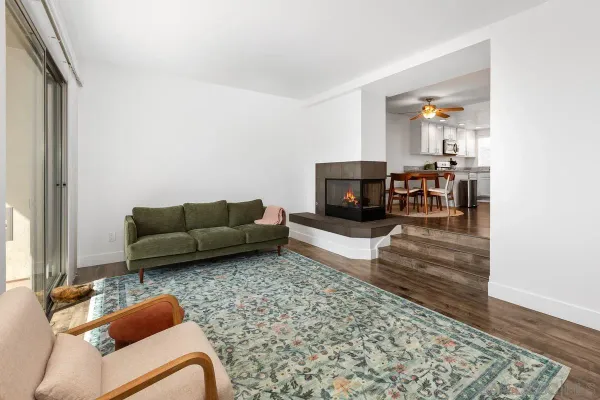 a living room with furniture or couch and a fireplace