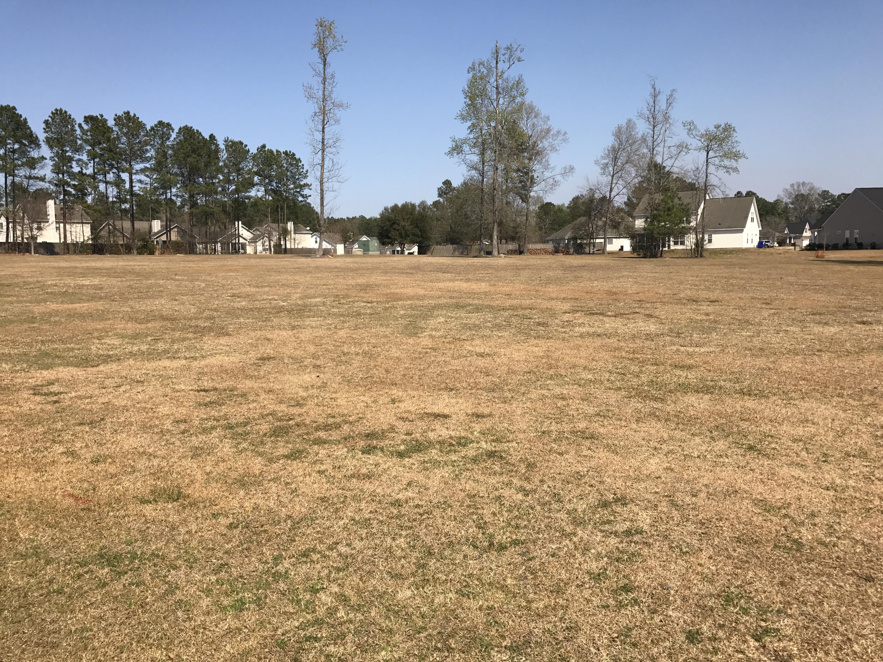 523 Glady Road Moncks Corner, SC 29461 - Photo 45 of 46 IMG_3844