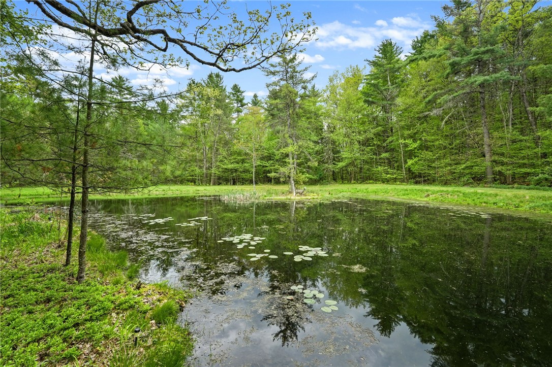 1028 Copes Corners Road Butternuts, NY 13843 - Photo 20 of 36