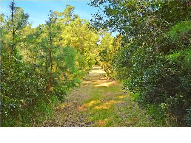 684 Main Road Johns Island, SC 29455 - Photo 21 of 24