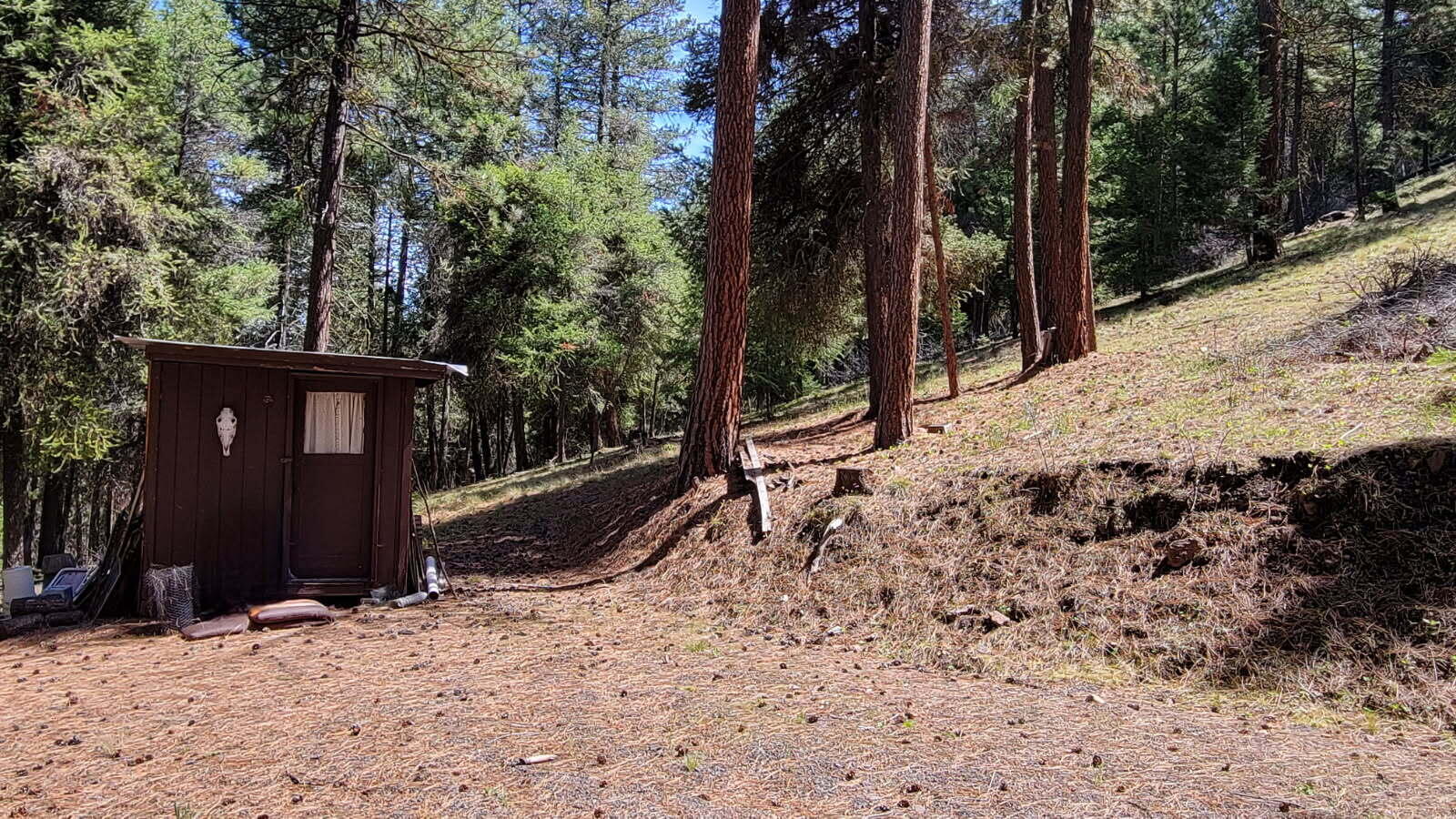 1315 Lofton Creek Road Prineville, OR 97754 - Photo 11 of 61 image000000 (7)
