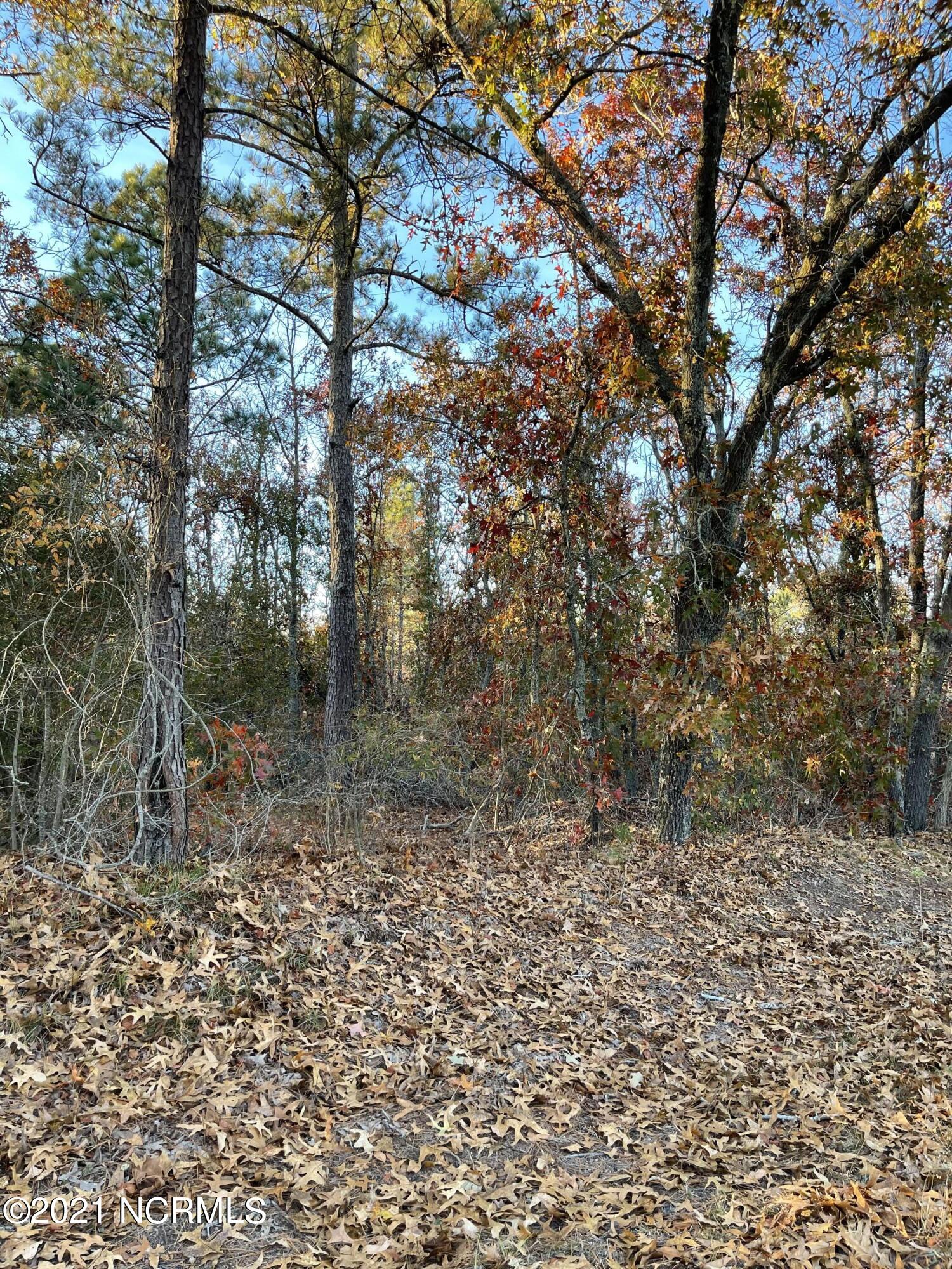 Tbd Coles Store Road Hamlet, NC 28345 - Photo 1 of 7 6163C1B6-F7C0-4BFA-A9E6-9C405546A73C