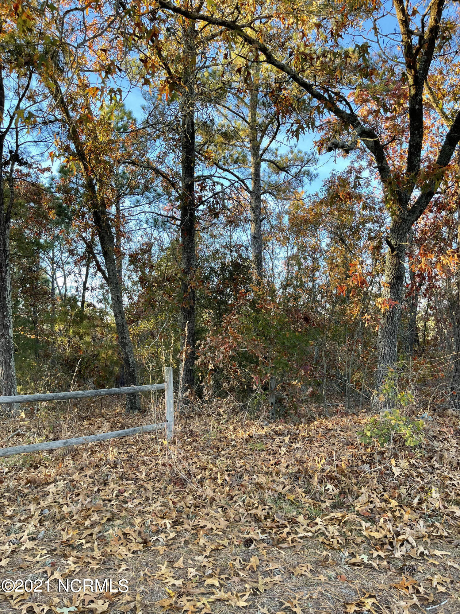 Tbd Coles Store Road Hamlet, NC 28345 - Photo 3 of 7 D9780733-B3EE-49B0-BA86-D6AE99A57957