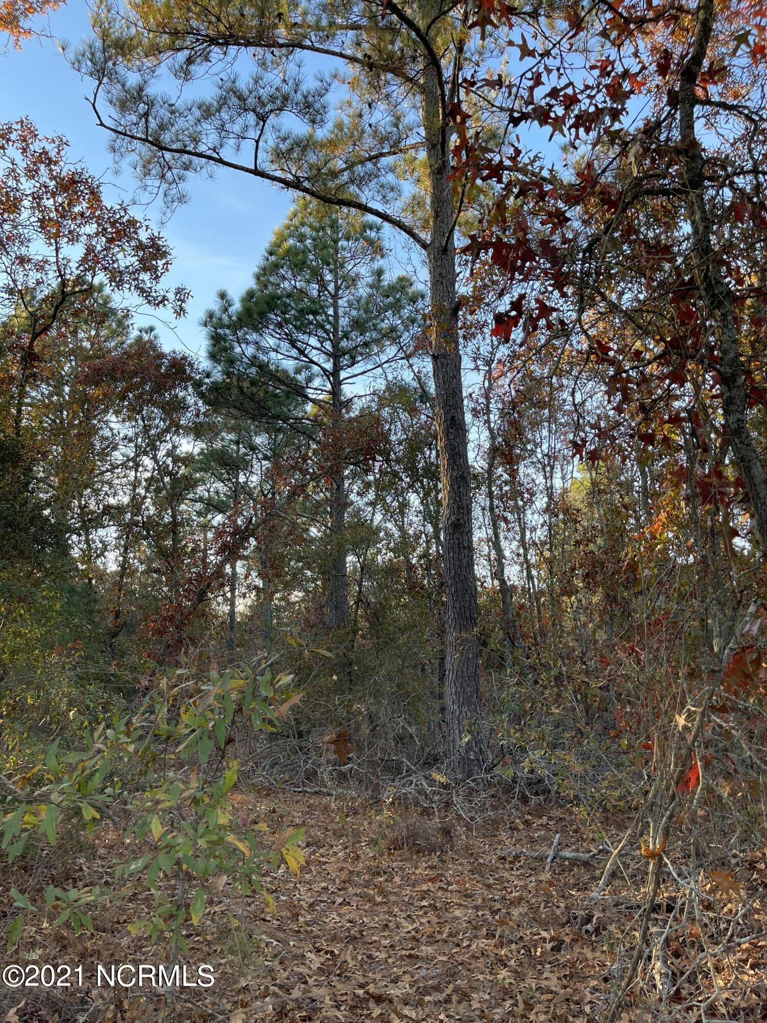Tbd Coles Store Road Hamlet, NC 28345 - Photo 4 of 7 71782695-E341-4EEA-8D5E-35BCA5C33B07
