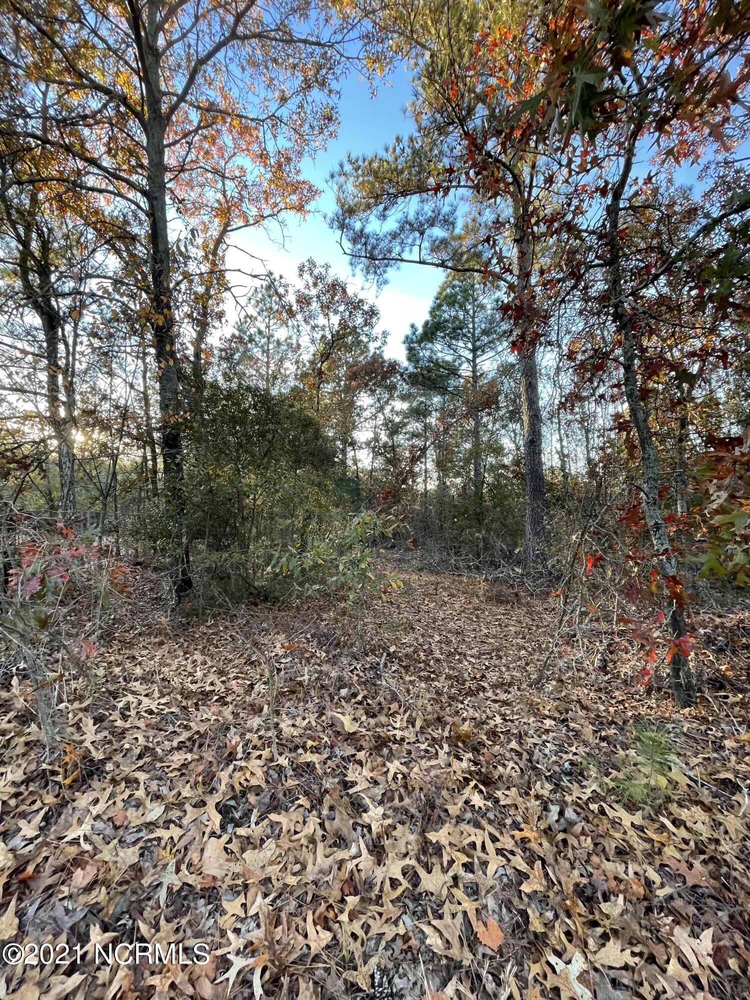 Tbd Coles Store Road Hamlet, NC 28345 - Photo 6 of 7 F4179284-3FB9-446C-B1C2-245DE9FC419F