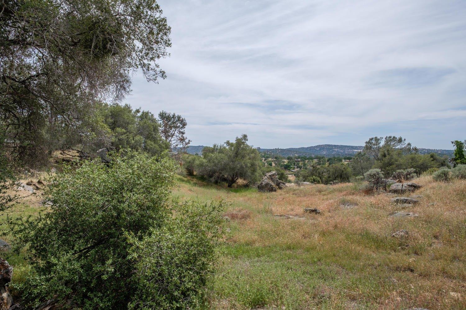 29390 Revis Road Coarsegold, CA 93614 - Photo 24 of 32 Gallery Image 24