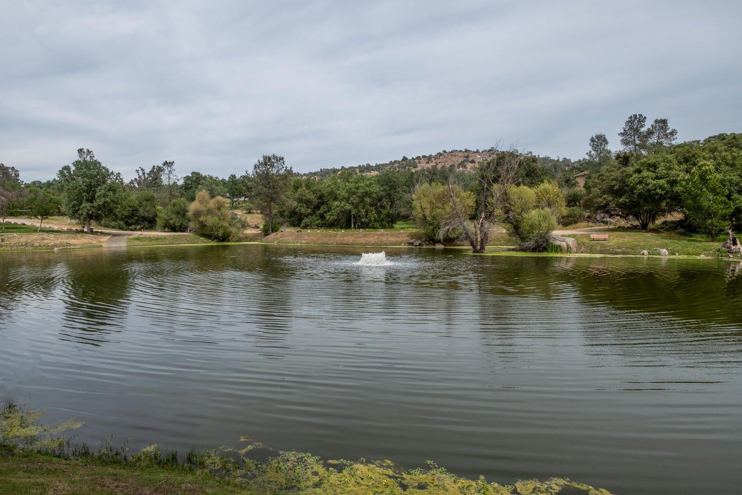29390 Revis Road Coarsegold, CA 93614 - Photo 30 of 32 Gallery Image 30