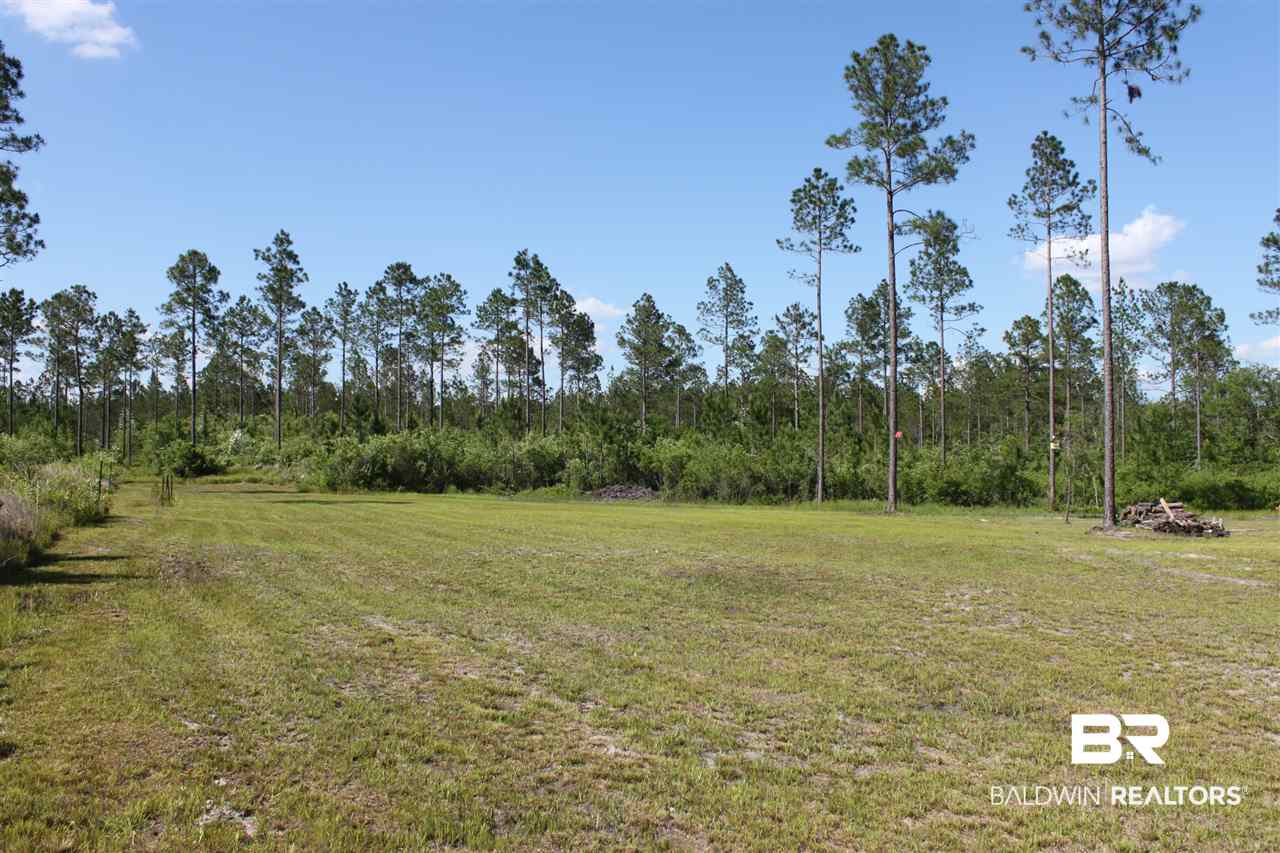 50400 B Hollingsworth Road Bay Minette, AL 36507 - Photo 7 of 22