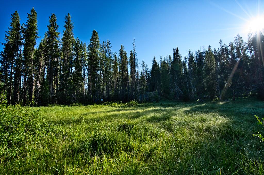Tbd Tbd Secesh River Road, Unit 52 McCall, ID 83638 - Photo 13 of 18