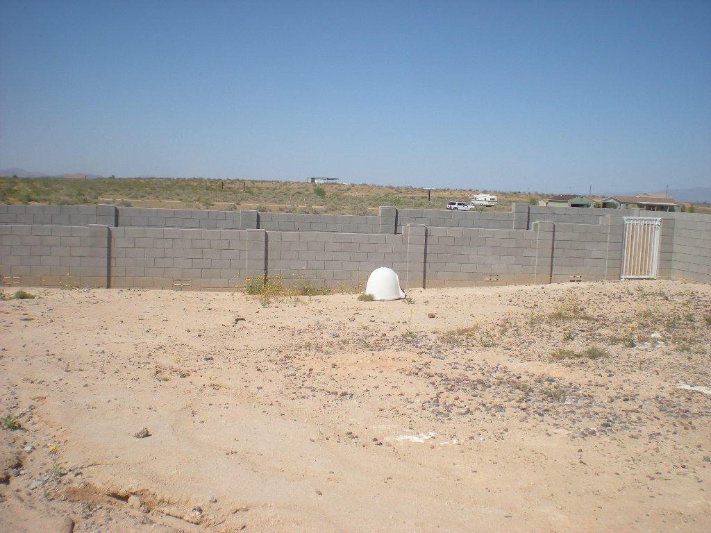 35202 West Elliot Road Arlington, AZ 85322 - Photo 8 of 8 Yard