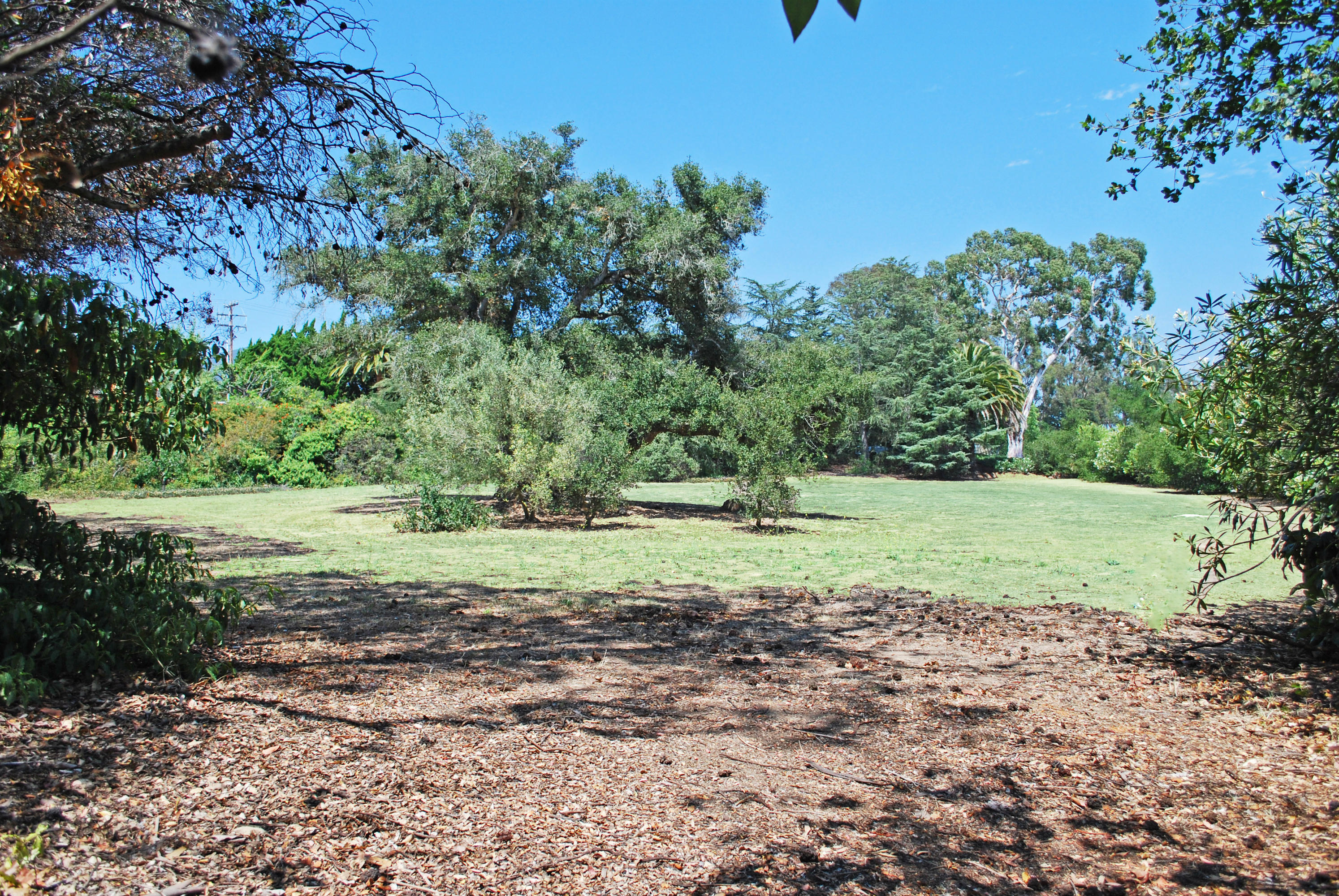 1920 Boundary Drive Montecito, CA 93108 - Photo 4 of 10 a view of a field with plants and trees