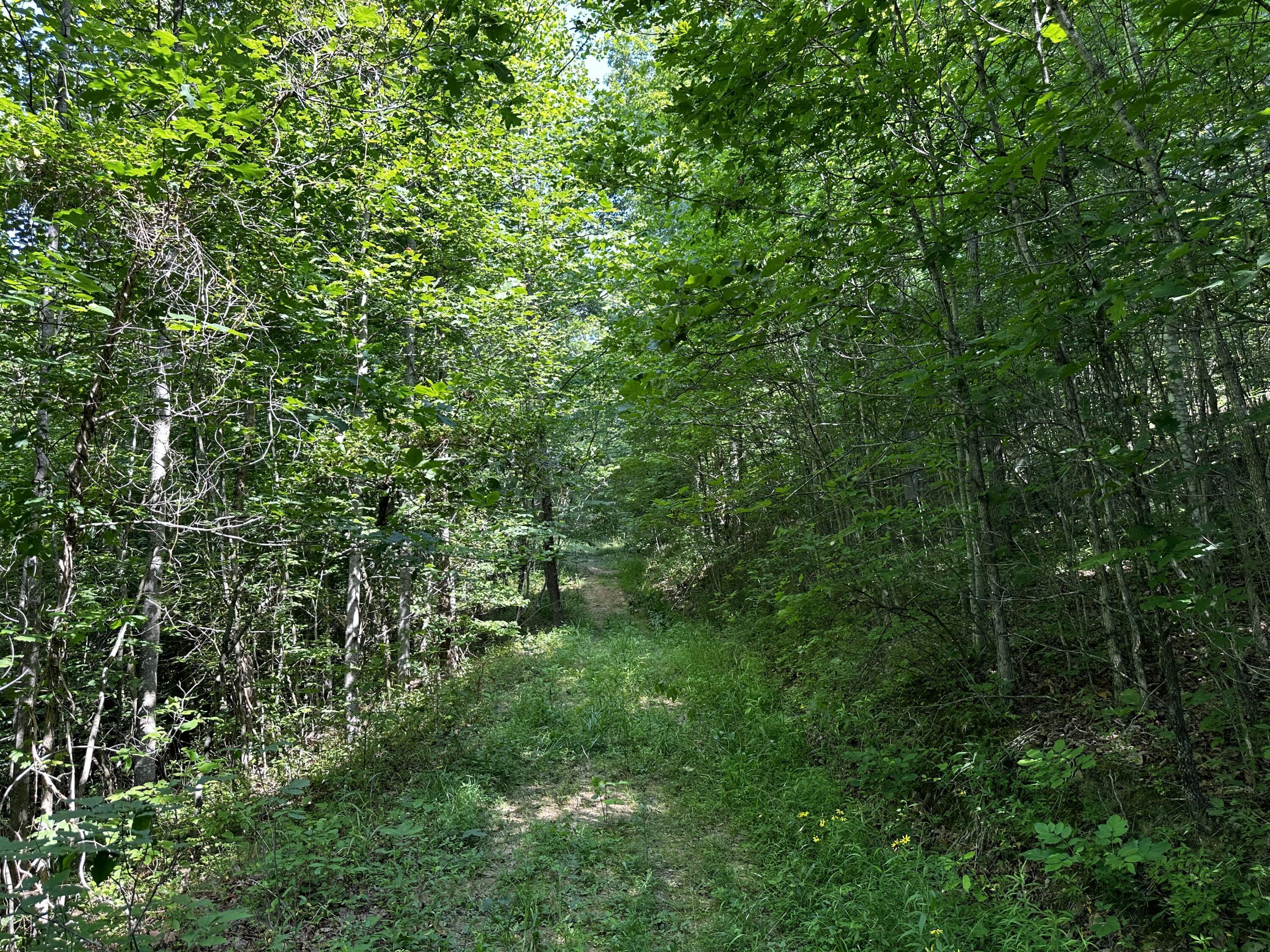 1101 Hull Road, Unit TRACT 9 WOODS WAYNE FOREST) Patriot, OH 45658 - Photo 18 of 61 20240621_144814860_iOS