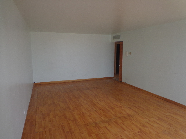 7 Division Street, Unit 2A Oak Park, IL 60302 - Photo 7 of 11