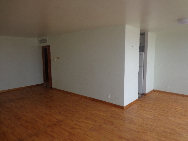 7 Division Street, Unit 2A Oak Park, IL 60302 - Photo 8 of 11