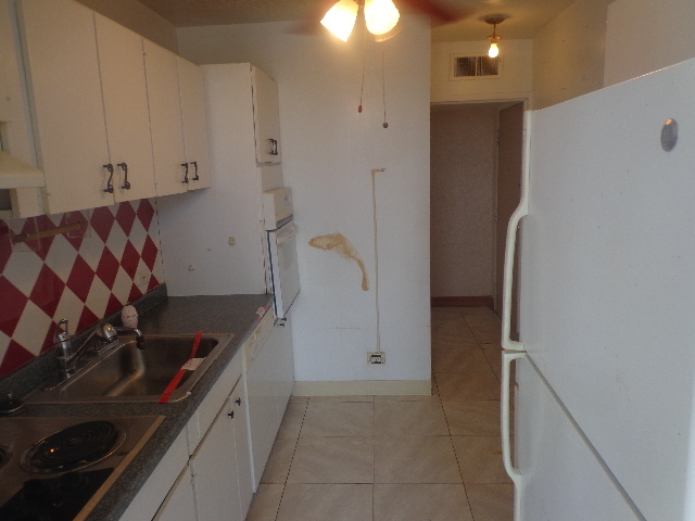 7 Division Street, Unit 2A Oak Park, IL 60302 - Photo 9 of 11