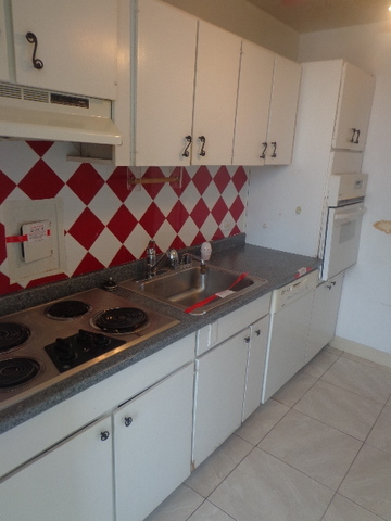 7 Division Street, Unit 2A Oak Park, IL 60302 - Photo 10 of 11