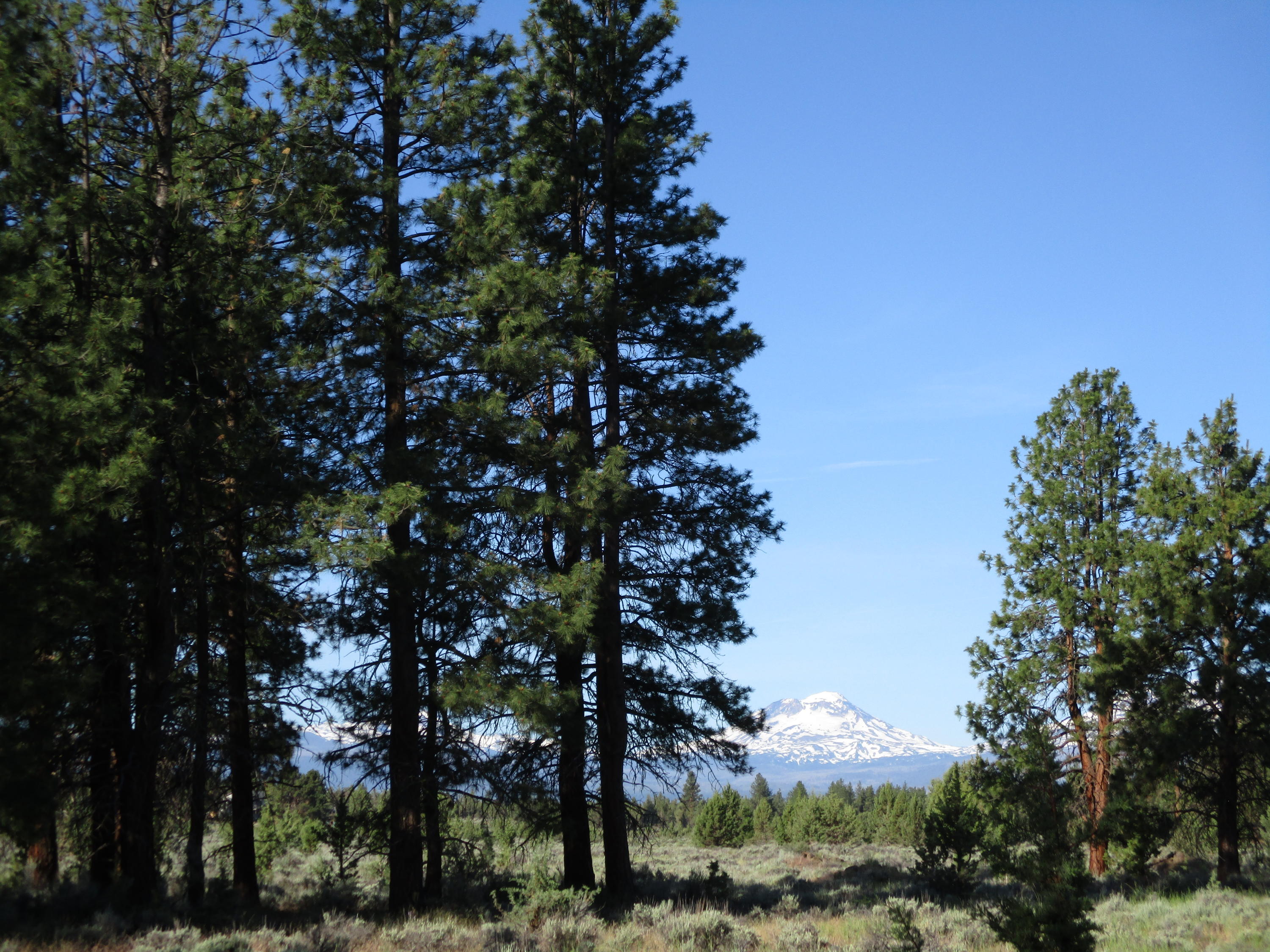 17820 Mountain View Road Sisters, OR 97759 - Photo 10 of 18 10