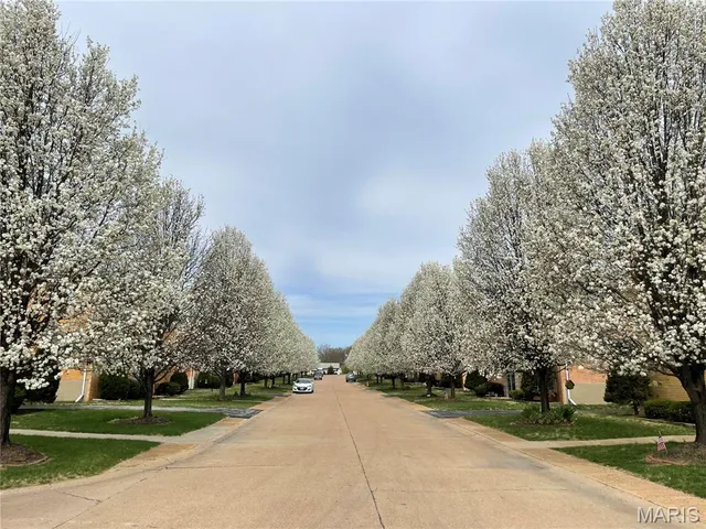 $995 | 4244 Fatima Drive, Unit 3, St. Louis, MO 63123