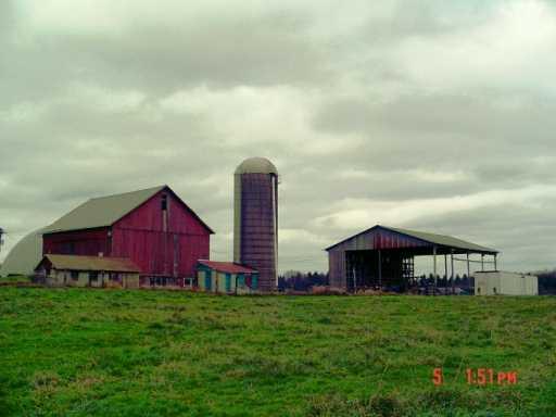 548 Cranberry Road Grove City, PA 16127 - Photo 2 of 8 Stable/Barn.