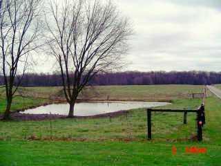 548 Cranberry Road Grove City, PA 16127 - Photo 3 of 8 View.