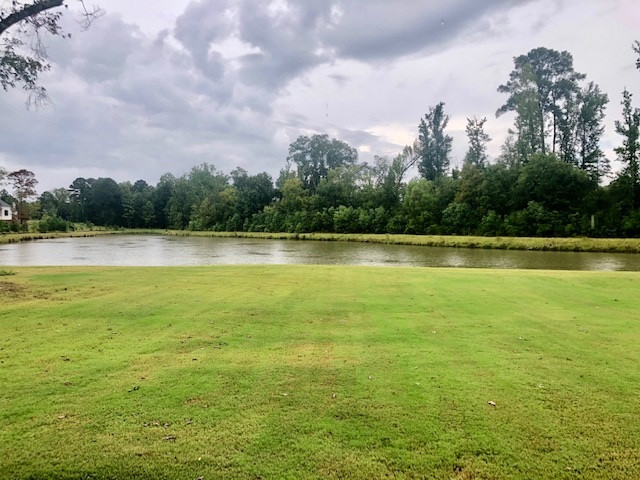 106 Hidden Oaks Trail Ridgeland, MS 39157 - Photo 5 of 31 Photo 5