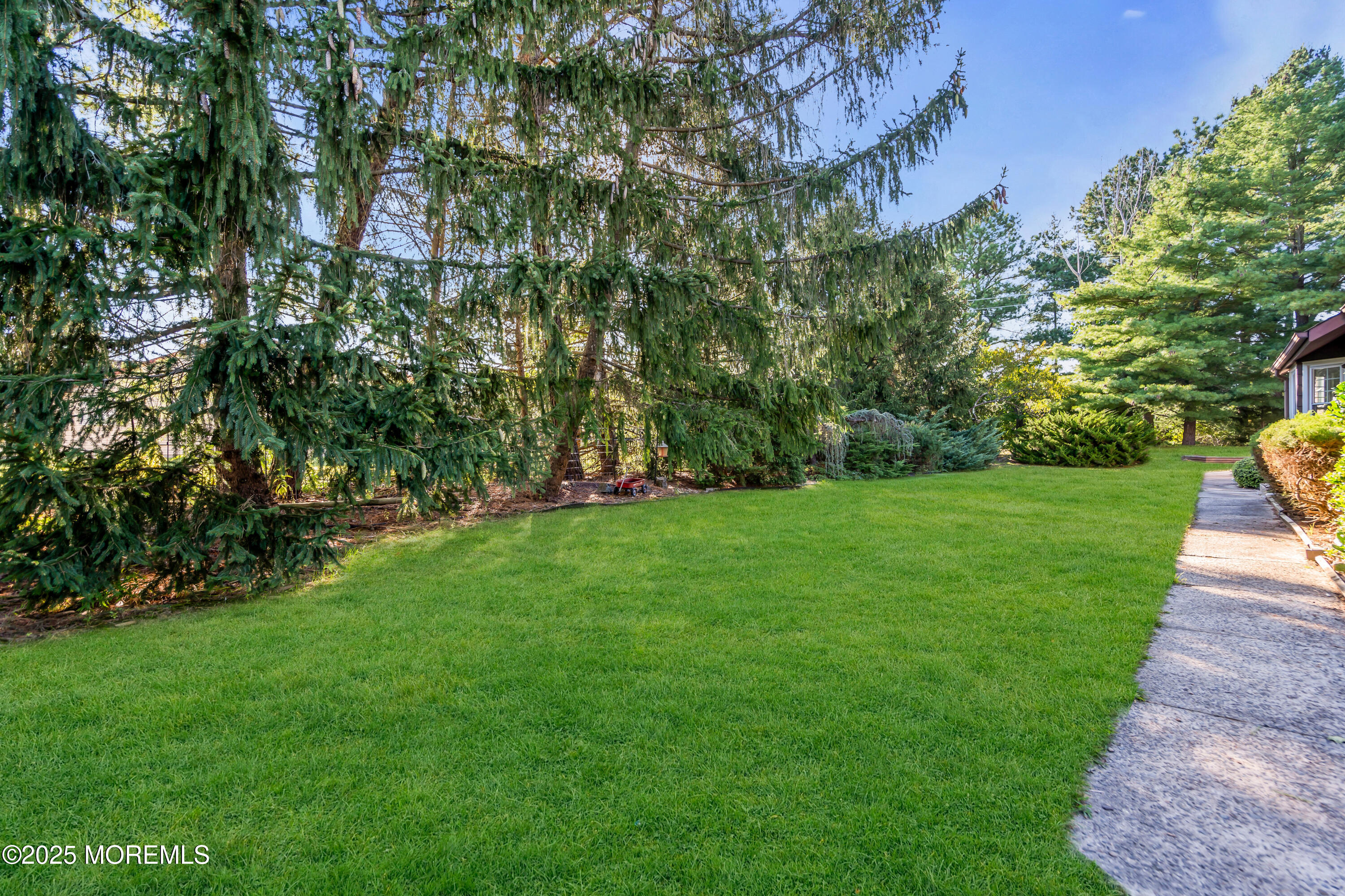 30 A Mill Road, Unit 64 Whiting, NJ 08759 - Photo 5 of 46 a view of a yard with plants and large trees