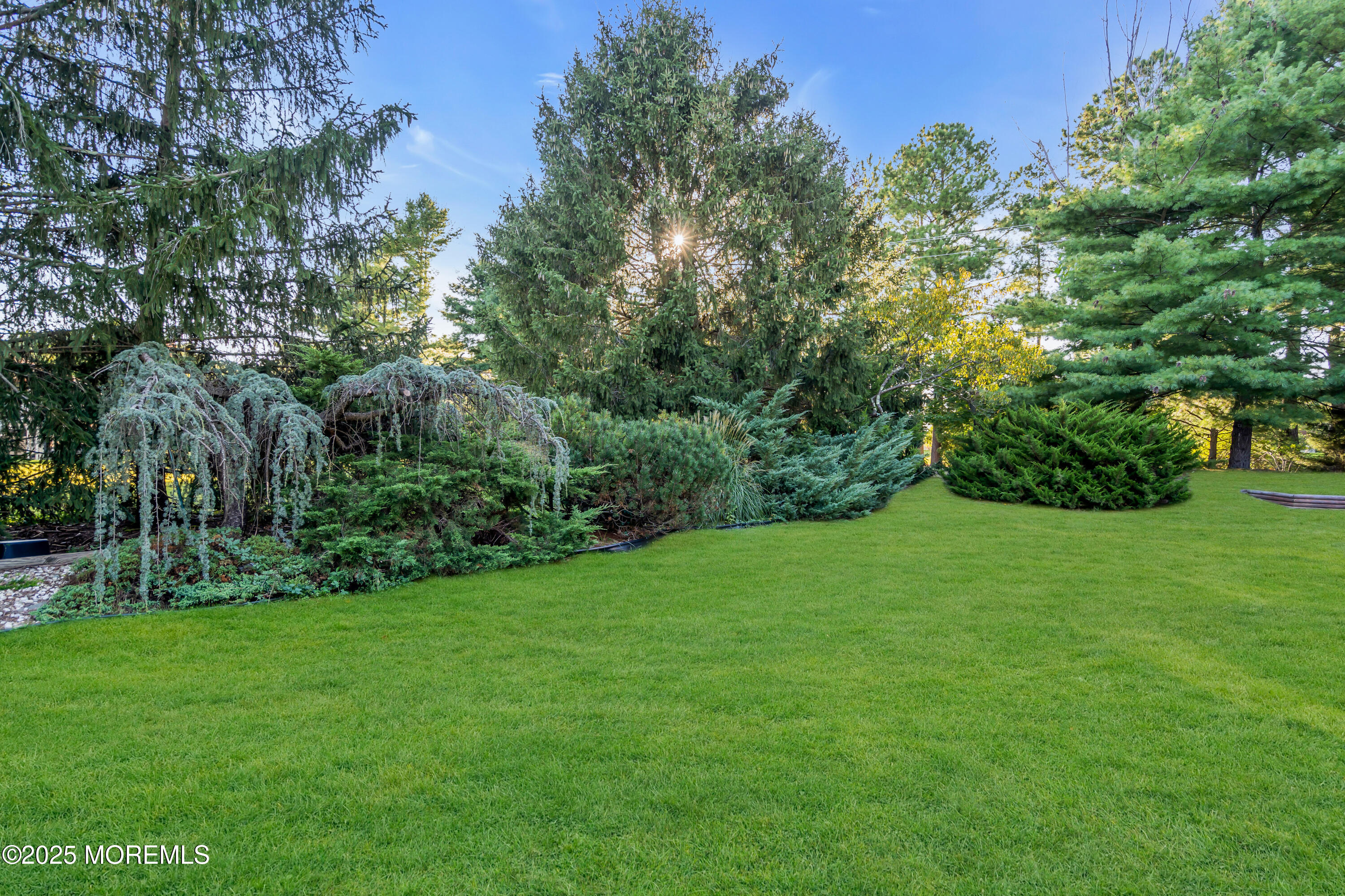 30 A Mill Road, Unit 64 Whiting, NJ 08759 - Photo 6 of 46 a view of a grassy field with trees