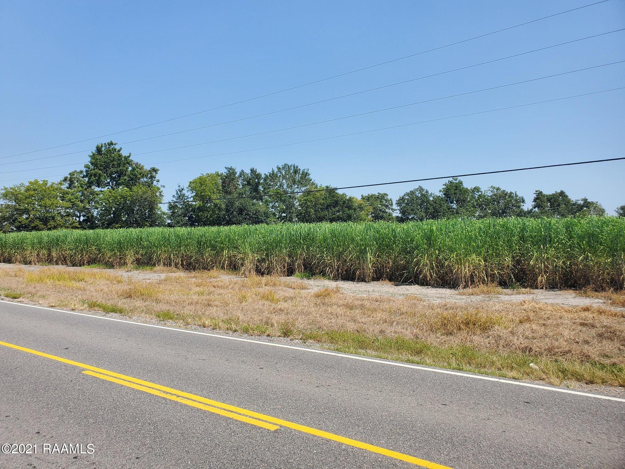 4 Doyle Melancon Road Breaux Bridge, LA 70517 - Photo 3 of 5 Gallery Image 3