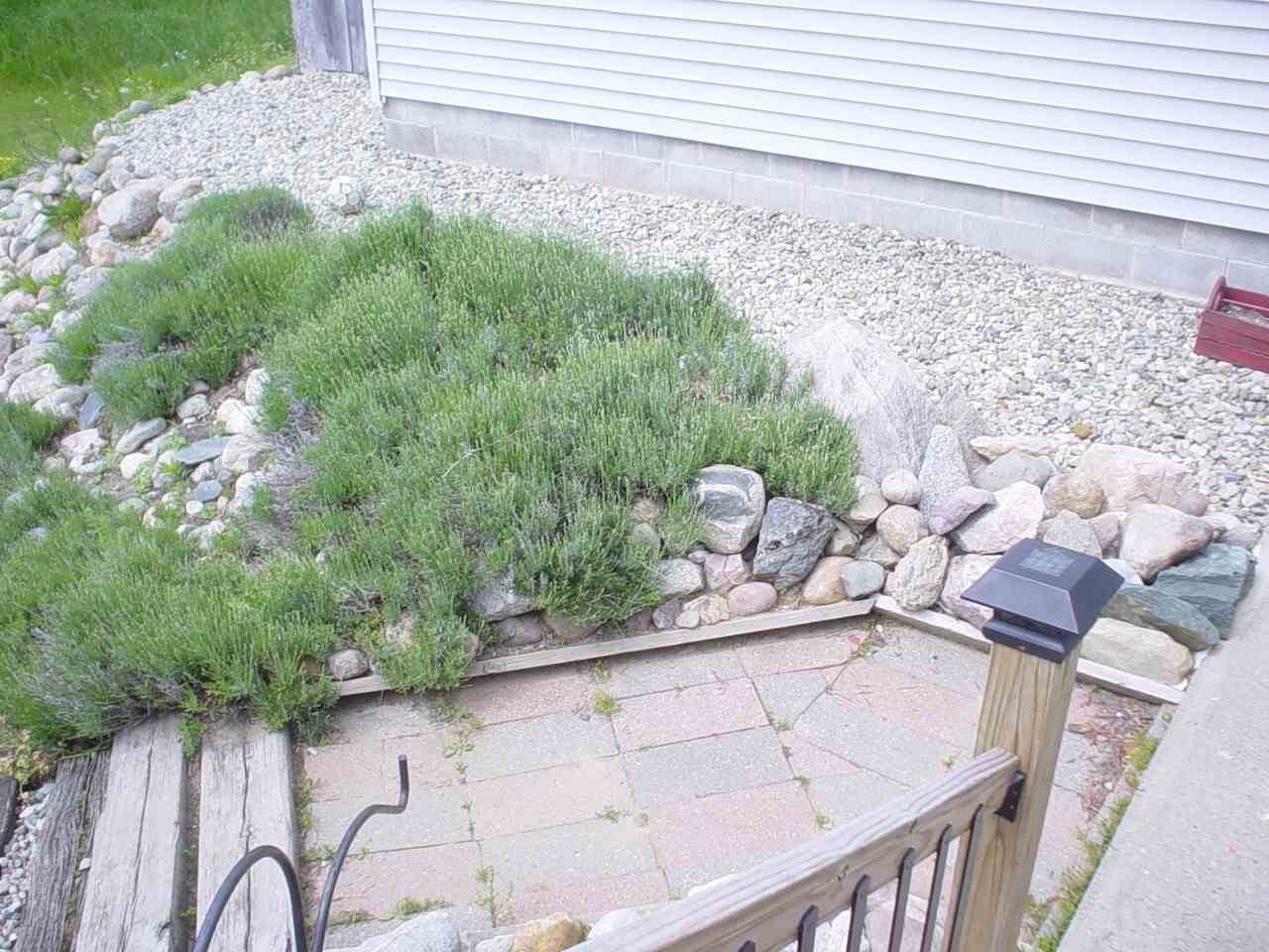 1256 South Gray Road West Branch, MI 48661 - Photo 19 of 23 1833483-19.JPG