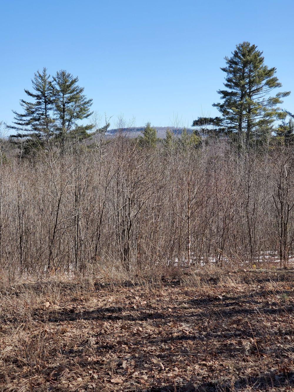 1390 A Turner Ridge Road Palermo, ME 04354 - Photo 3 of 8 20210317_143128