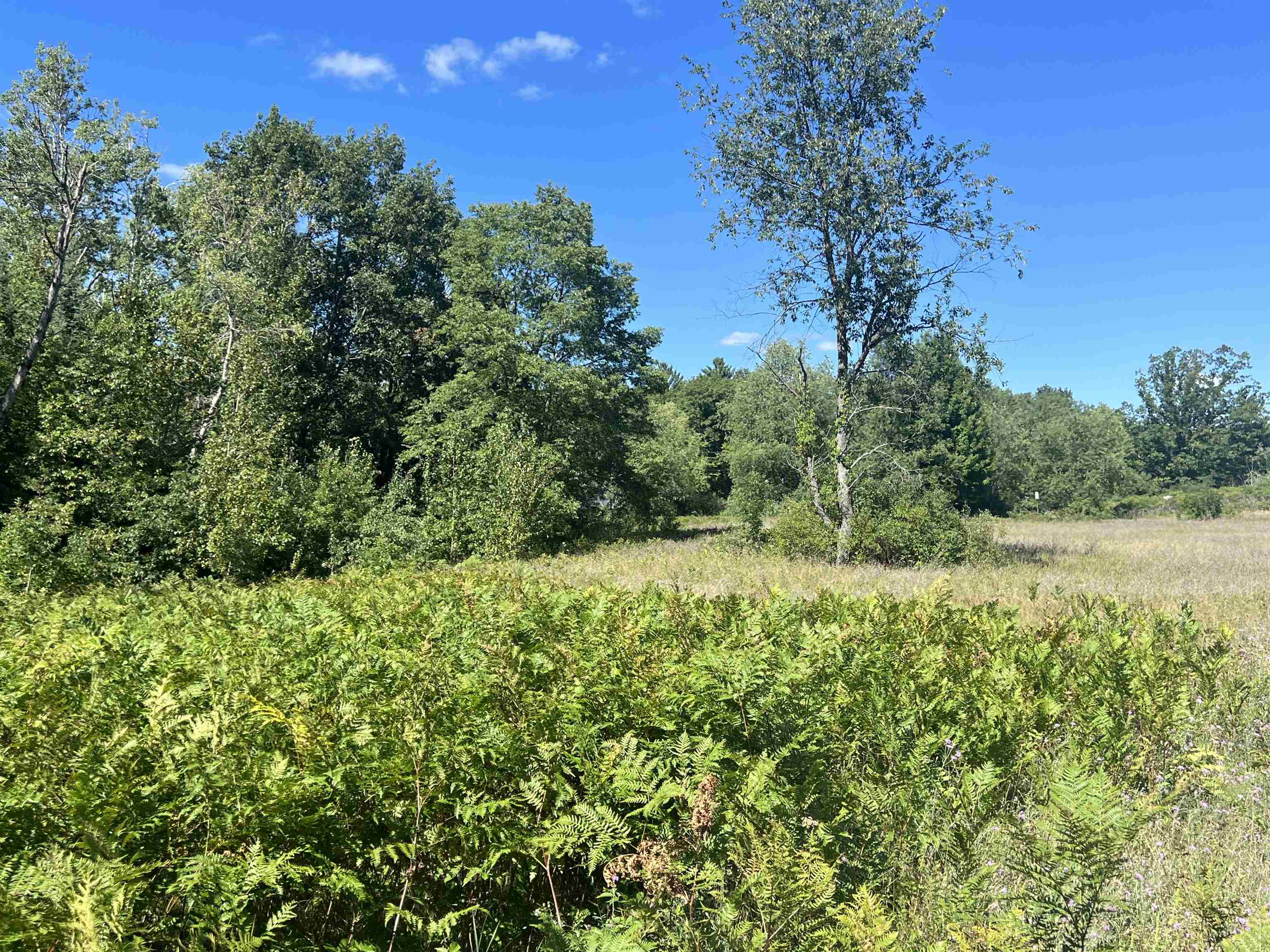 15-acres Meredith Grade Road Gladwin, MI 48624 - Photo 6 of 50