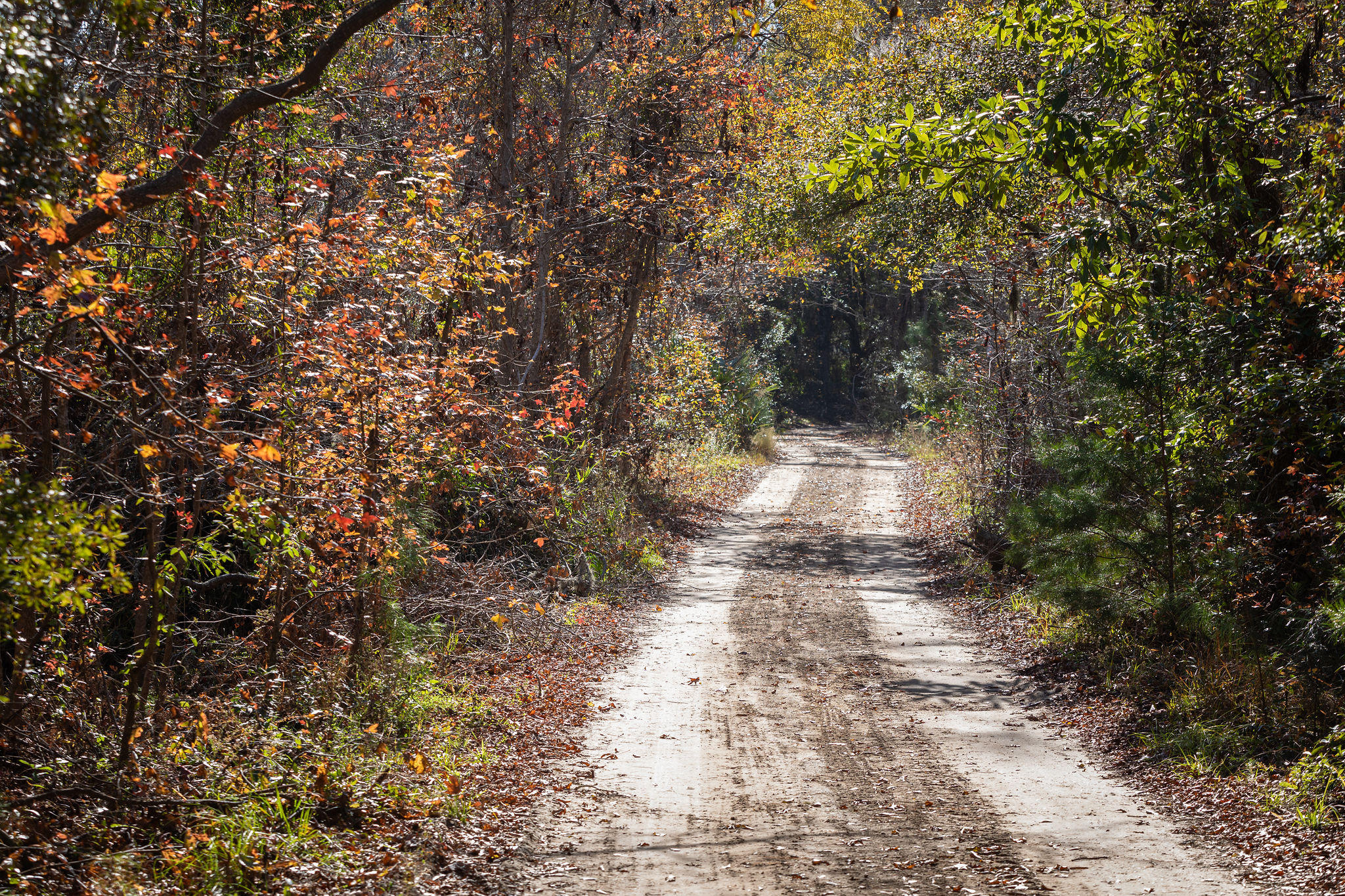 4080 River Road Johns Island, SC 29455 - Photo 11 of 23 8-4080RiverRoad-KeenEyeMarketing-47