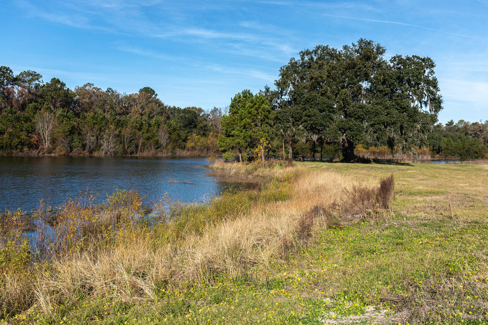 4080 River Road Johns Island, SC 29455 - Photo 4 of 23 4-4080RiverRoad-KeenEyeMarketing-36