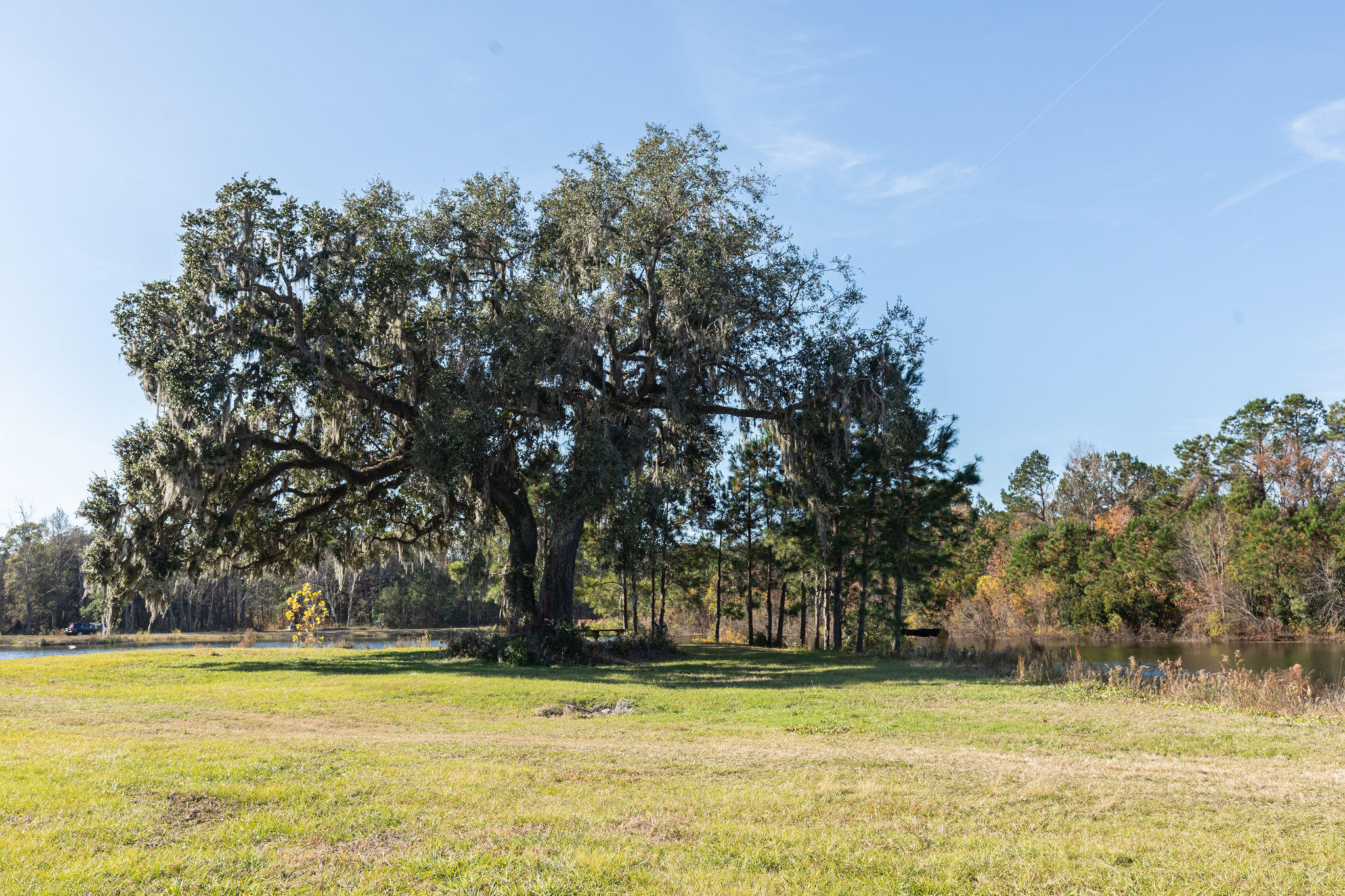4080 River Road Johns Island, SC 29455 - Photo 6 of 23 5-4080RiverRoad-KeenEyeMarketing-39