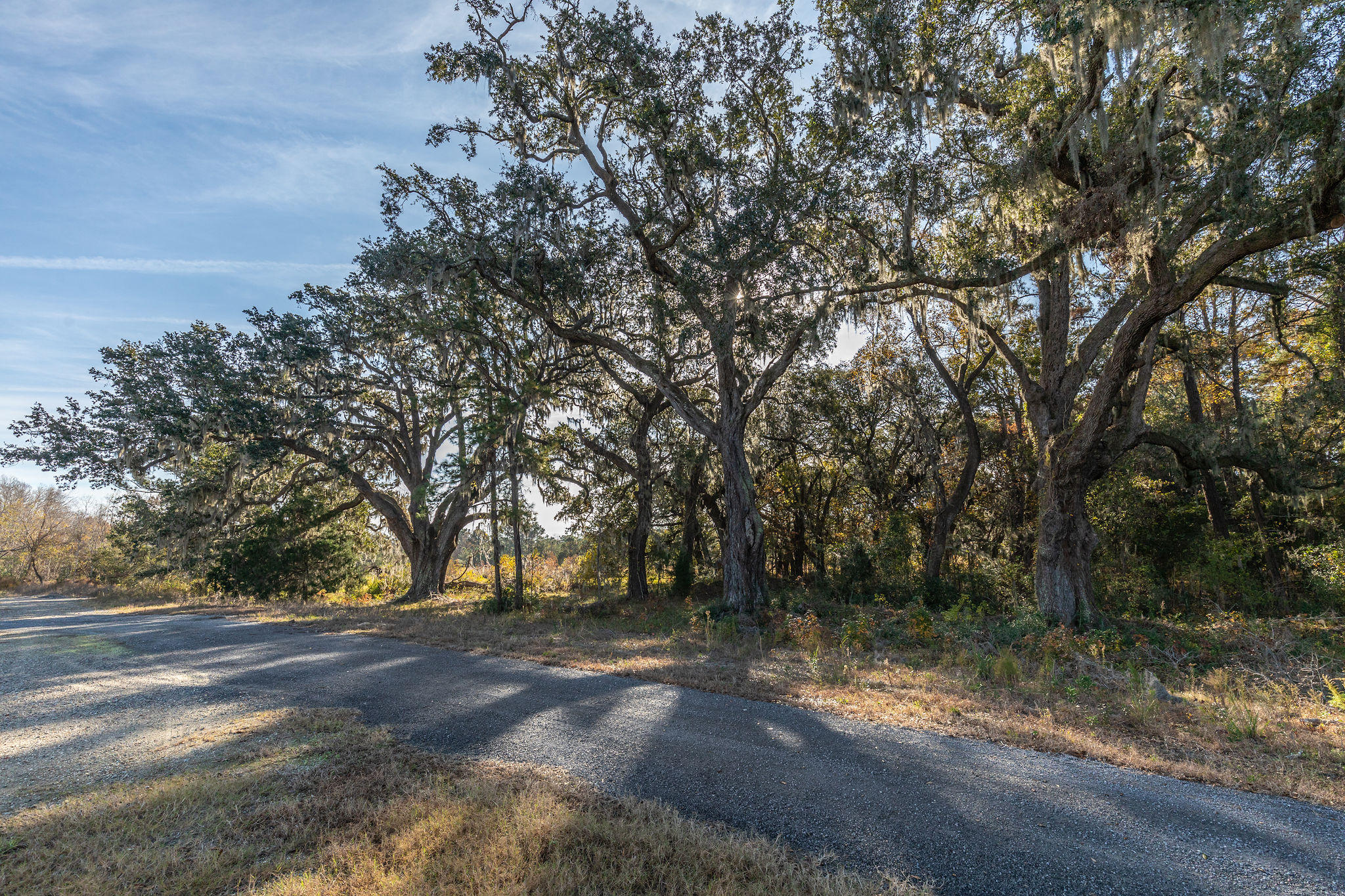 4080 River Road Johns Island, SC 29455 - Photo 9 of 23 7.1-4080RiverRoad-KeenEyeMarketing-35