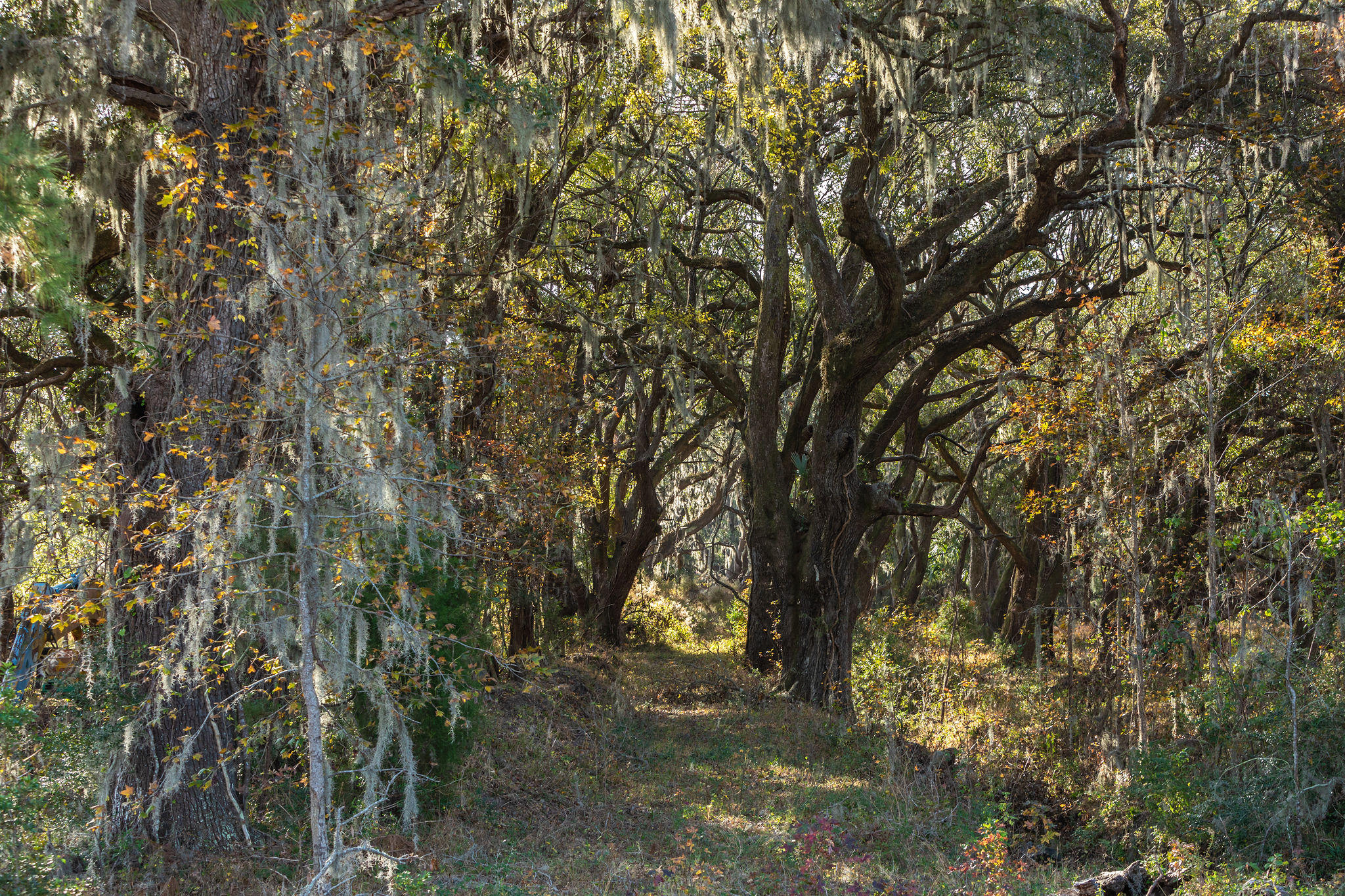 4080 River Road Johns Island, SC 29455 - Photo 10 of 23 7.2-4080RiverRoad-KeenEyeMarketing-44
