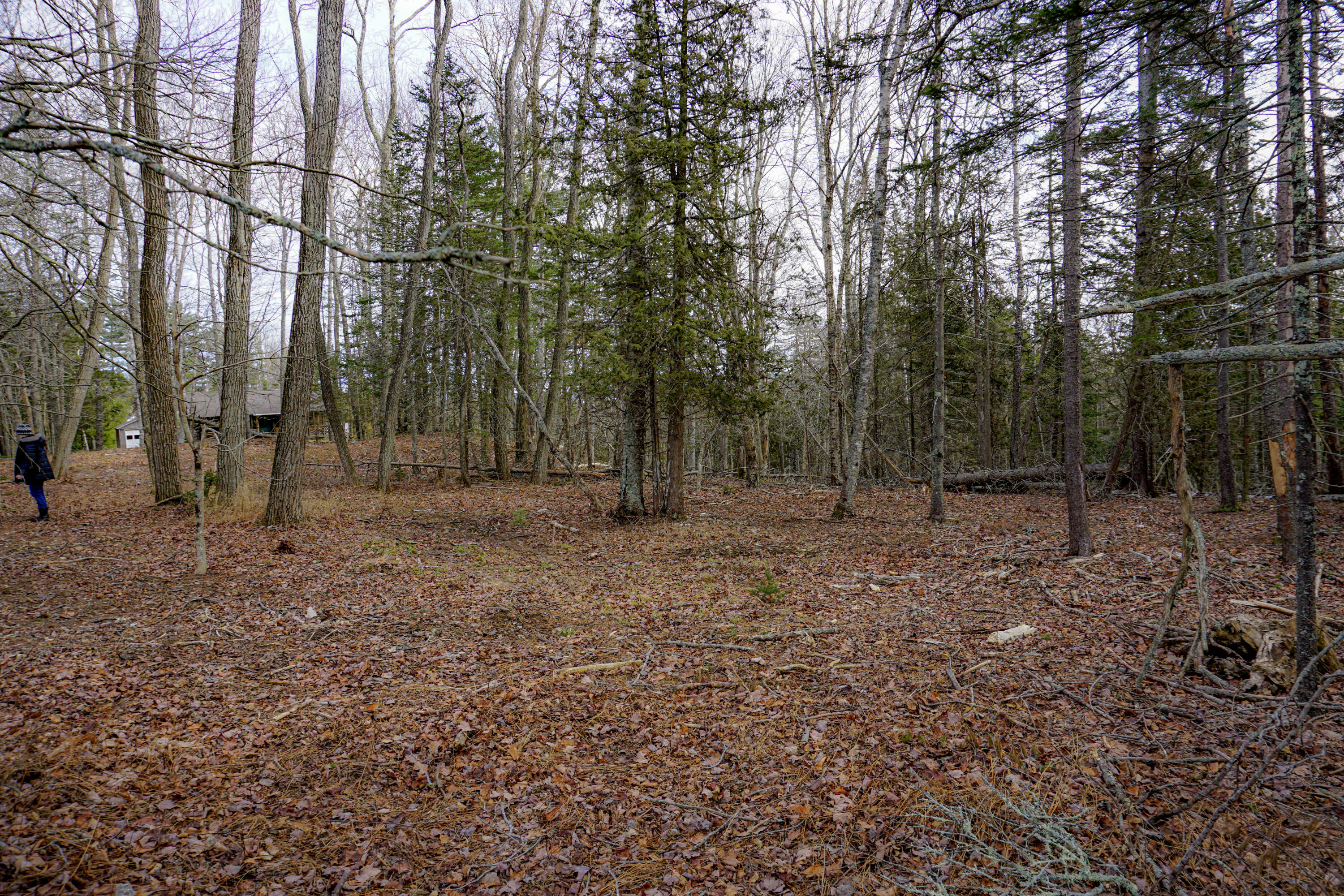0 Main Road Islesboro, ME 04848 - Photo 9 of 44 19-_DSC1700