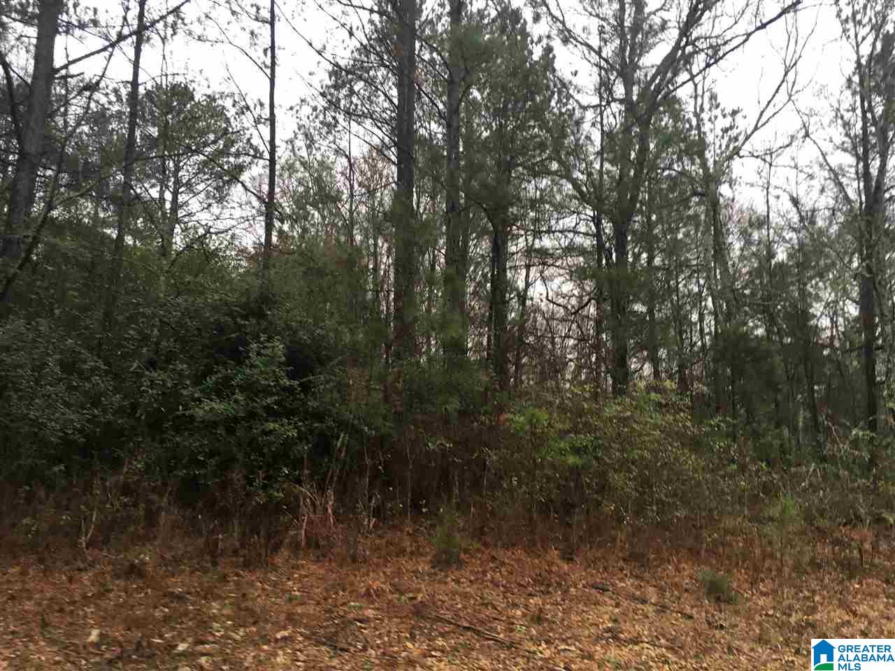 1245 Eureka Road, Unit 2 Lincoln, AL 35096 - Photo 20 of 32